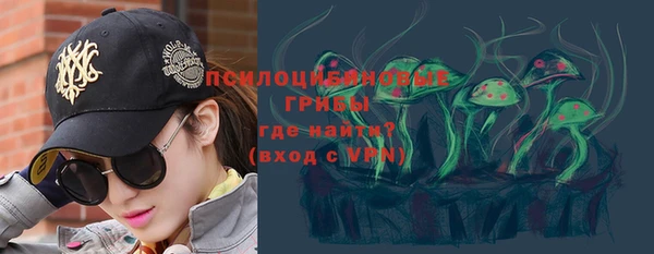 мескалин Богданович