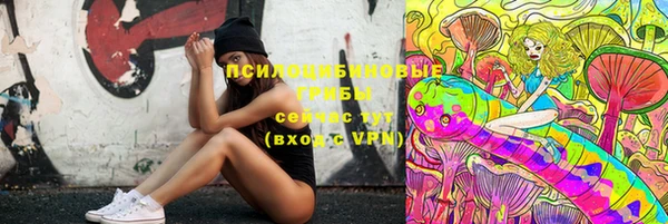 мескалин Богданович