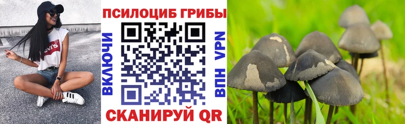 Галлюциногенные грибы GOLDEN TEACHER что такое Козловка